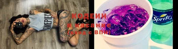 МДПВ Бугульма