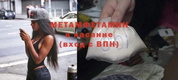 PSILOCYBIN Бородино