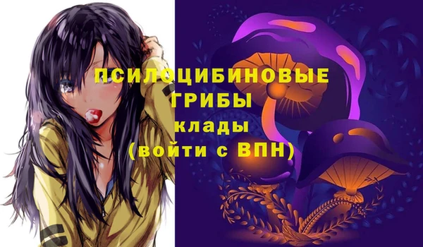 PSILOCYBIN Бородино